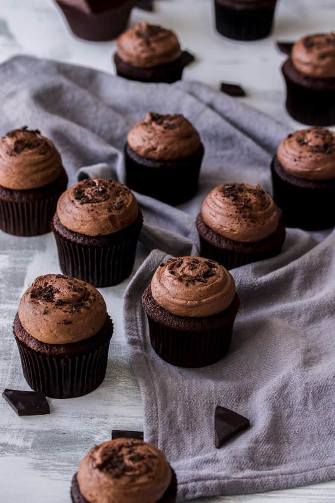 A batch of chocolate cupcakes with chocolate frosting.