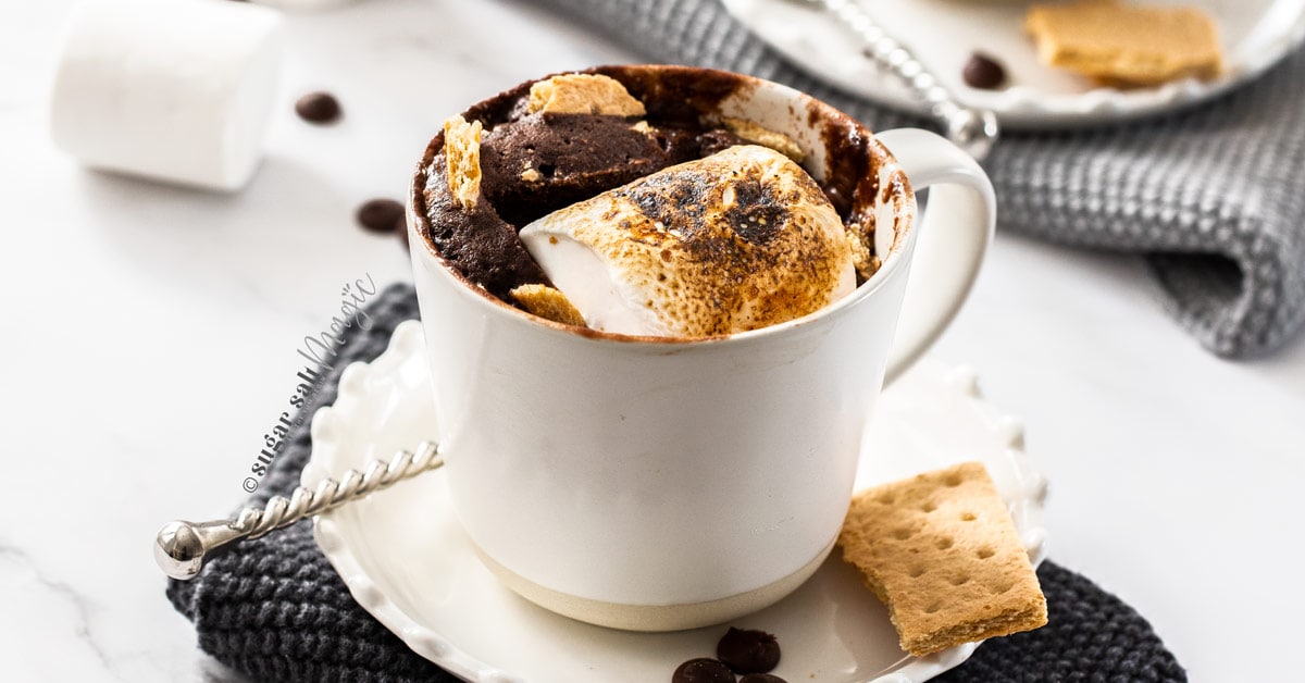 S’mores Gooey Chocolate Mug Cake