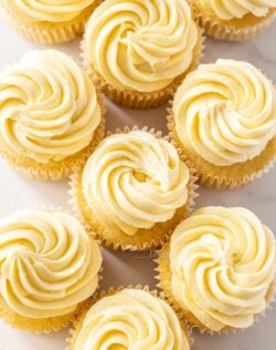 Top down view of a batch of vanilla cupcakes sitting close together