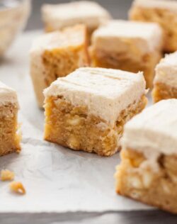 White Chocolate Malted Milk Blondies are a dense, fudgy blondie filled with white chocolate chips and topped with a supremely delicious Malted Milk Buttercream. #maltedmilk #chocmalt