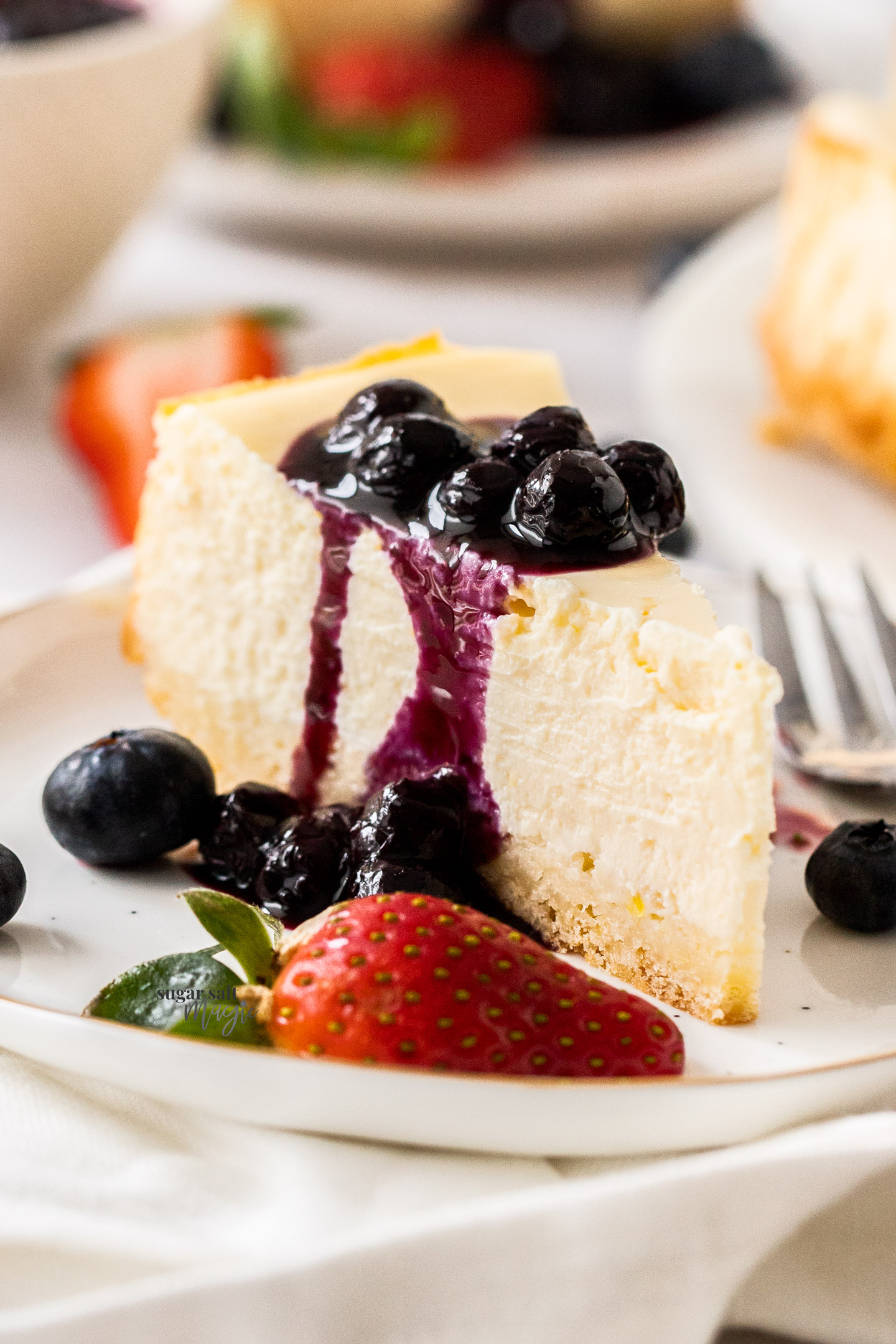 A closeup of a slice of baked cheesecake.