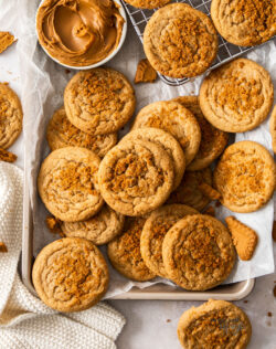 A batch of Biscoff butter cookies on a baking tray.