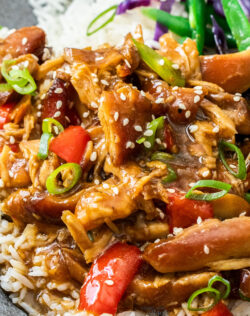 Close up of shredded slow cooked honey soy chicken.