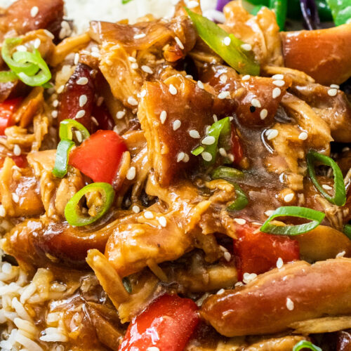 Close up of shredded slow cooked honey soy chicken.