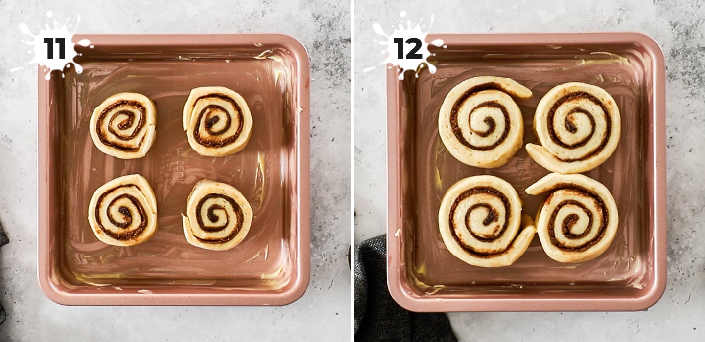 4 cinnamon rolls rising in a square baking pan.