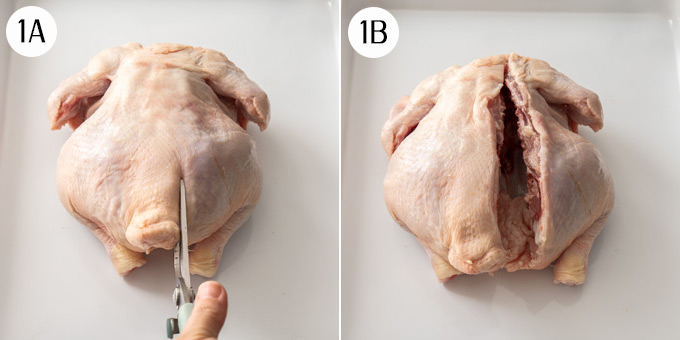 Overhead process shot: using kitchen shears to cut one side of the backbone of a whole chicken.