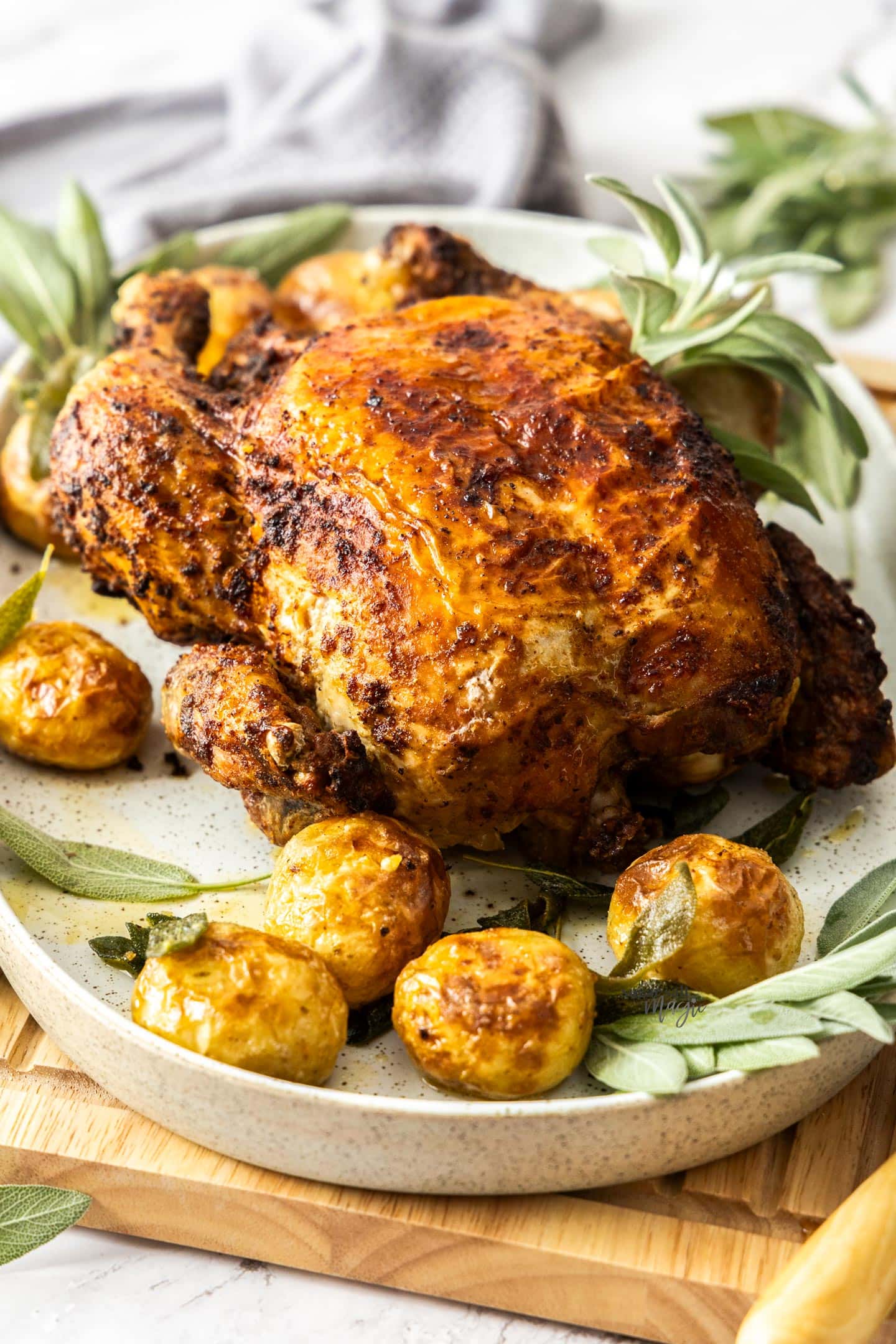 A whole air fryer roast chicken on a platter.