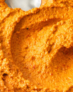 Extreme close up of a swirl of romesco sauce.