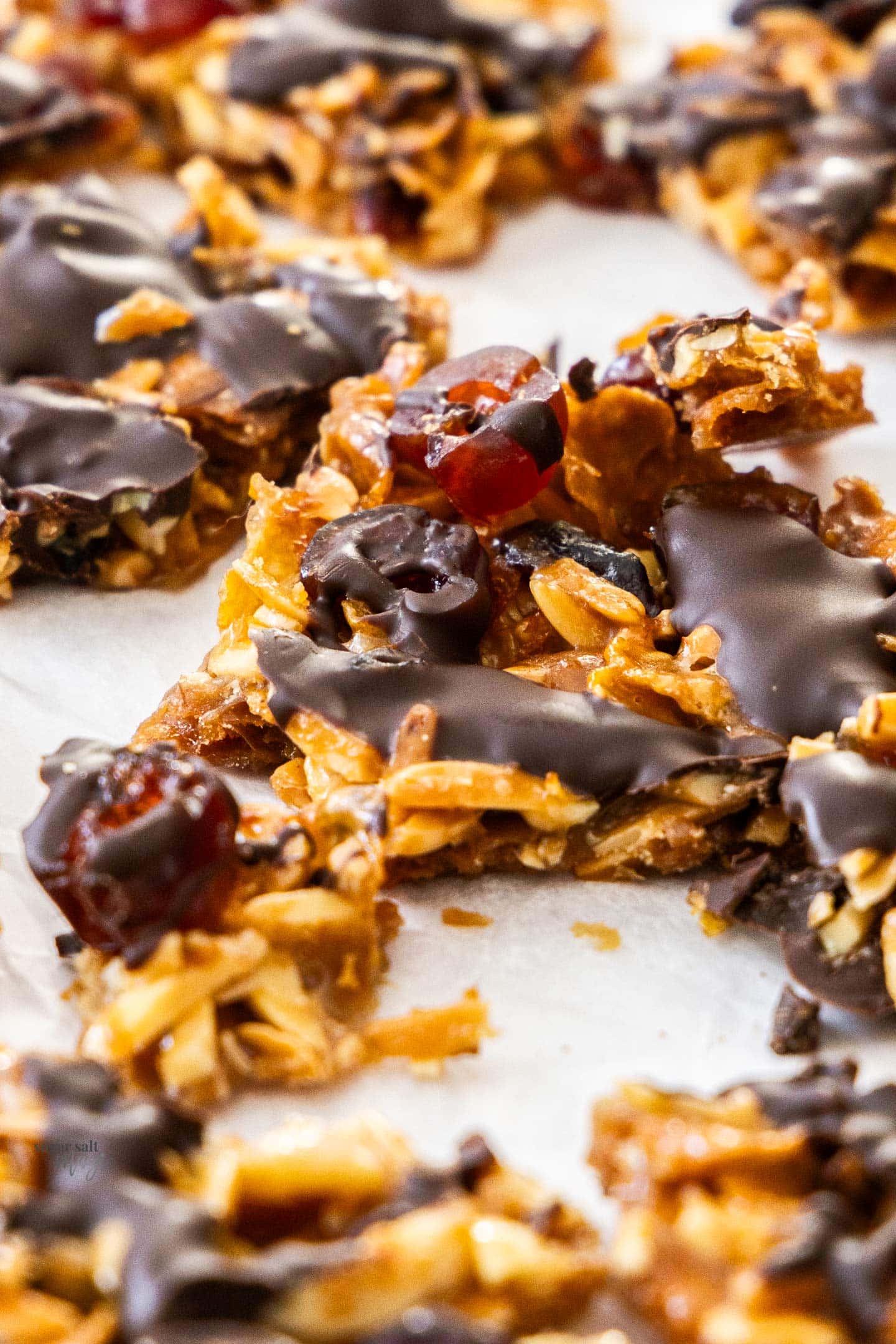 Closeup of florentine slice showing the almonds and toffee under the chocolate.